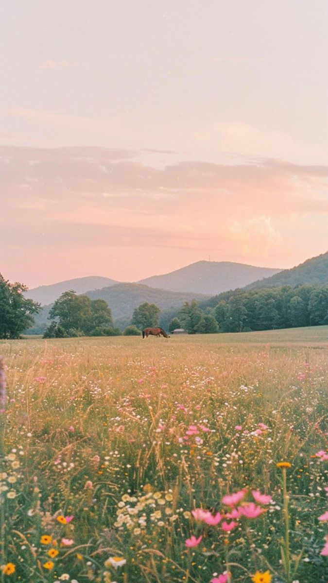 Soft & Floral